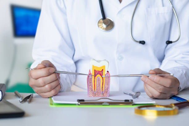 Best Emergency Treatment for Dental Infections or Abscesses in South Waverly, PA